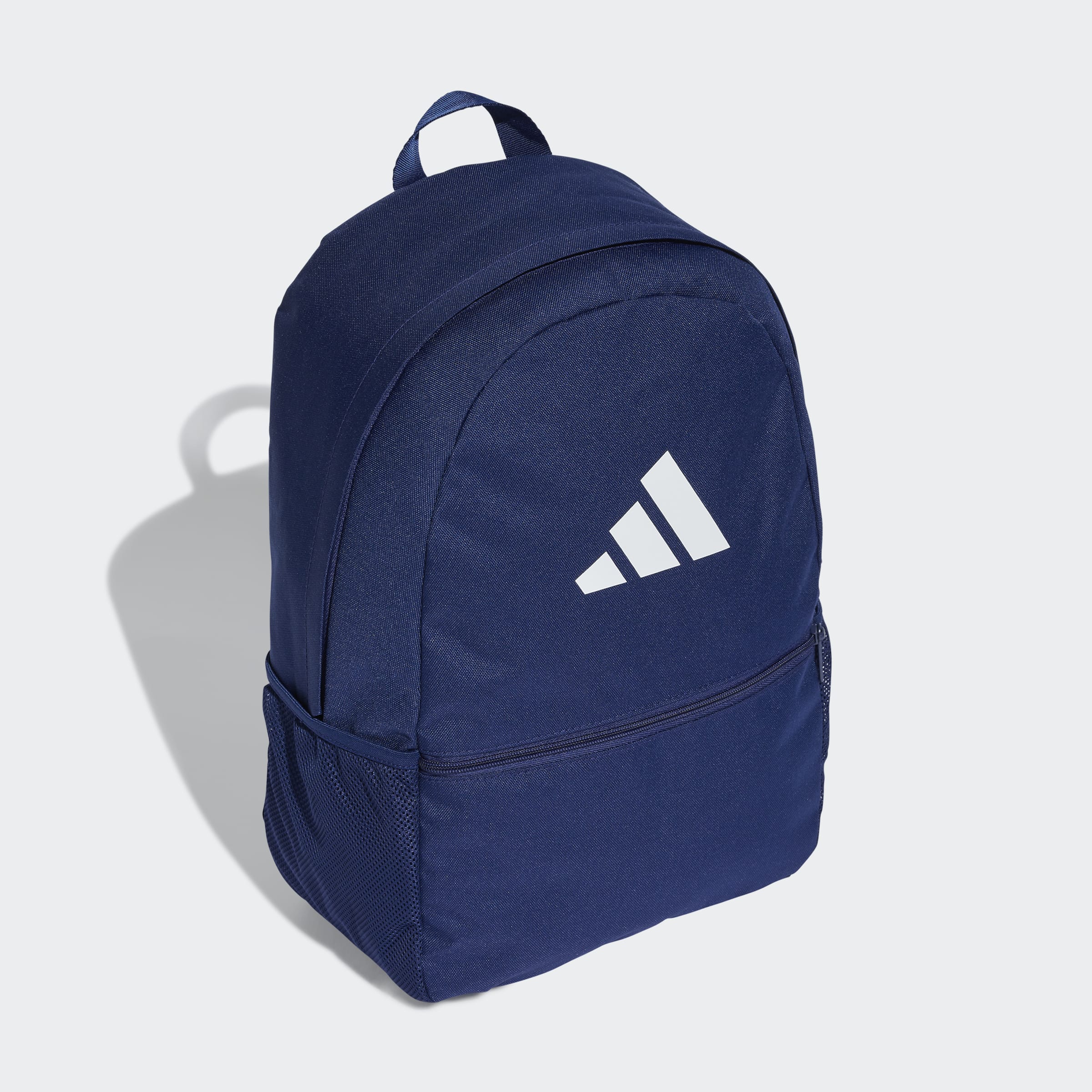 CLSC PCASE BP